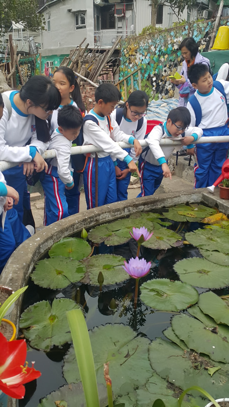 導賞團相片